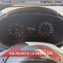 Kia Picanto Picanto 1.0 12V GPL 5 porte Urban Blanc - thumbnail 10