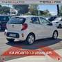 Kia Picanto Picanto 1.0 12V GPL 5 porte Urban Blanc - thumbnail 15