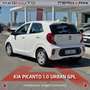 Kia Picanto Picanto 1.0 12V GPL 5 porte Urban Blanc - thumbnail 17