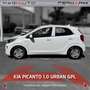 Kia Picanto Picanto 1.0 12V GPL 5 porte Urban Blanc - thumbnail 5
