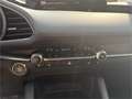 Mazda 3 Sedan e-Skyactiv G140 Exclusive-Line ab €29.50 Rot - thumbnail 14