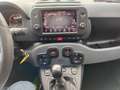 Fiat Panda Panda Cross 1.0  hybrid City Cross/PREZZO REALE Verde - thumbnail 13