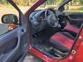 Fiat Panda Panda 1.2 natural power Climbing Rosso - thumbnail 7
