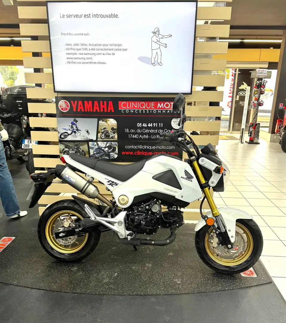 Honda MSX 125 Blanc - 1