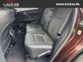 Lexus RX 450h AWD hL  *Executive*SZH*Klima Sitze*4x4* Braun - thumbnail 14
