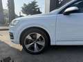 Audi Q7 3.0 TDI - v6 QUATTRO Blanc - thumbnail 6