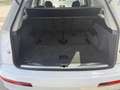 Audi Q7 3.0 TDI - v6 QUATTRO Blanc - thumbnail 17
