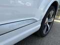Audi Q7 3.0 TDI - v6 QUATTRO Blanc - thumbnail 5