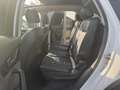 Audi Q7 3.0 TDI - v6 QUATTRO Blanc - thumbnail 21