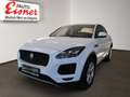 Jaguar E-Pace D150 S BIG DEAL Weiß - thumbnail 2