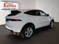 Jaguar E-Pace D150 S BIG DEAL Weiß - thumbnail 15