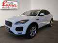 Jaguar E-Pace D150 S BIG DEAL Weiß - thumbnail 3