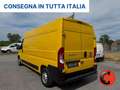 Fiat Ducato 2.3 MJT 140 CV-(PL-TM L3H2)SENSORI-FURGONE-E6D- Giallo - thumbnail 5