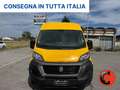 Fiat Ducato 2.3 MJT 140 CV-(PL-TM L3H2)SENSORI-FURGONE-E6D- Giallo - thumbnail 8