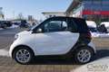 smart forTwo cabrio twinamic passion Weiß - thumbnail 8
