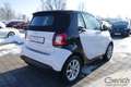smart forTwo cabrio twinamic passion Weiß - thumbnail 5