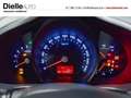 Kia Sportage 1.7 CRDI 115CV 2WD Cool Bianco - thumbnail 7