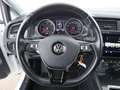 Volkswagen Golf Variant Golf VII Variant 1.6 TDI Trend KLIMA RADIO PDC Weiß - thumbnail 20