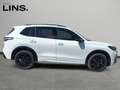 Volkswagen Tiguan R-Line TDI 4MOTION DSG Weiß - thumbnail 6
