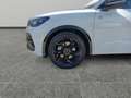 Volkswagen Tiguan R-Line TDI 4MOTION DSG Weiß - thumbnail 14
