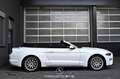 Ford Mustang 2.3 EcoBoost EXP € 23.317,- Weiß - thumbnail 5