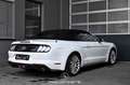 Ford Mustang 2.3 EcoBoost EXP € 23.317,- Weiß - thumbnail 10