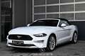 Ford Mustang 2.3 EcoBoost EXP € 24.400,- Weiß - thumbnail 9