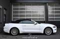 Ford Mustang 2.3 EcoBoost EXP € 23.317,- Weiß - thumbnail 13