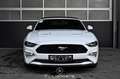 Ford Mustang 2.3 EcoBoost EXP € 23.650,- Weiß - thumbnail 11