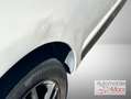 Citroen C4 Coupe,Tonic,TÜV10/2025,PDC,Tempomat,Alufelgen Weiß - thumbnail 7