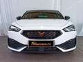 CUPRA Leon 2.0 TSI 245 CV DSG Bianco - thumbnail 9