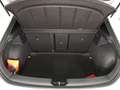 CUPRA Leon 2.0 TSI 245 CV DSG Bianco - thumbnail 13