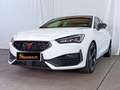 CUPRA Leon 2.0 TSI 245 CV DSG Bianco - thumbnail 8