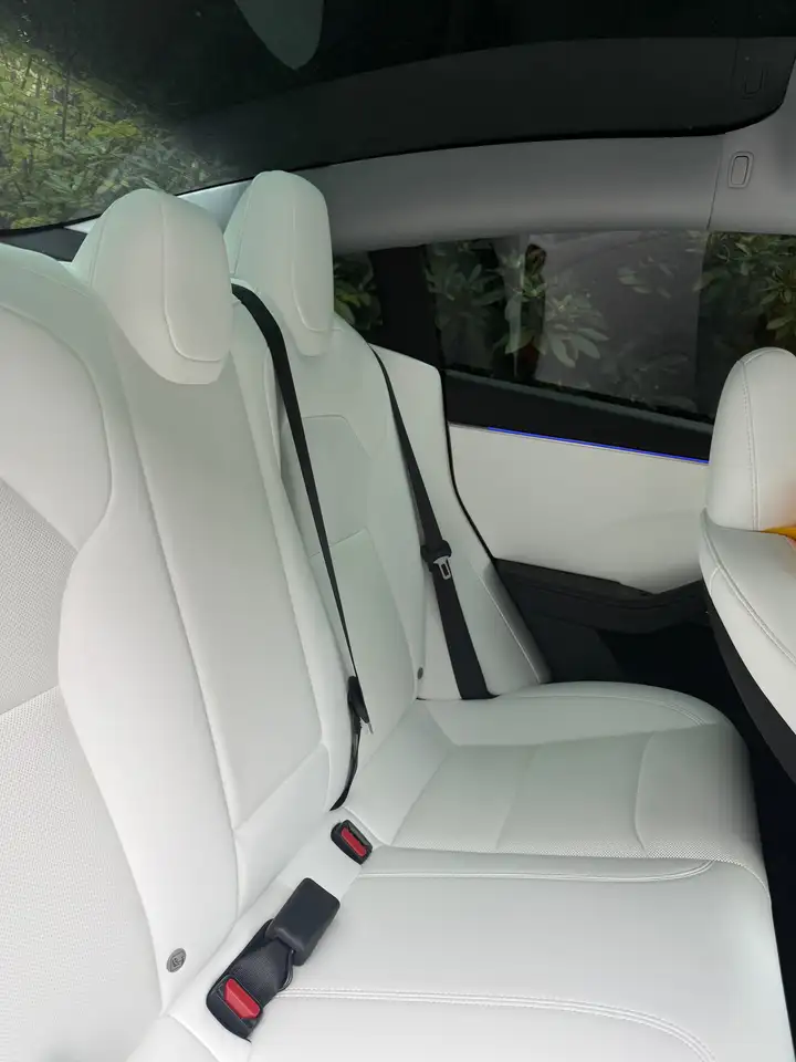 Tesla Model 3 снимка Tesla Model 3