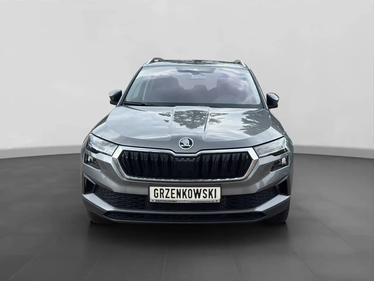 Skoda Karoq Selection 1,5 TSI DSG AHK, RKF, миниатюра 8