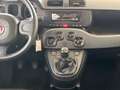 Fiat Panda Panda 1.0 firefly hybrid City Cross s Nero - thumbnail 14
