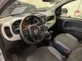 Fiat Panda 1.0 firefly hybrid Cross s&s 70cv Gris - thumbnail 5
