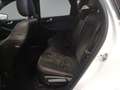 Ford Kuga 2.5 Duratec PHEV ST-LINE X Weiß - thumbnail 7