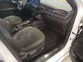 Ford Kuga 2.5 Duratec PHEV ST-LINE X Weiß - thumbnail 9