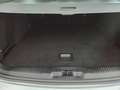 Ford Focus 1.5 EcoBlue 120 CV SW Business Argento - thumbnail 3