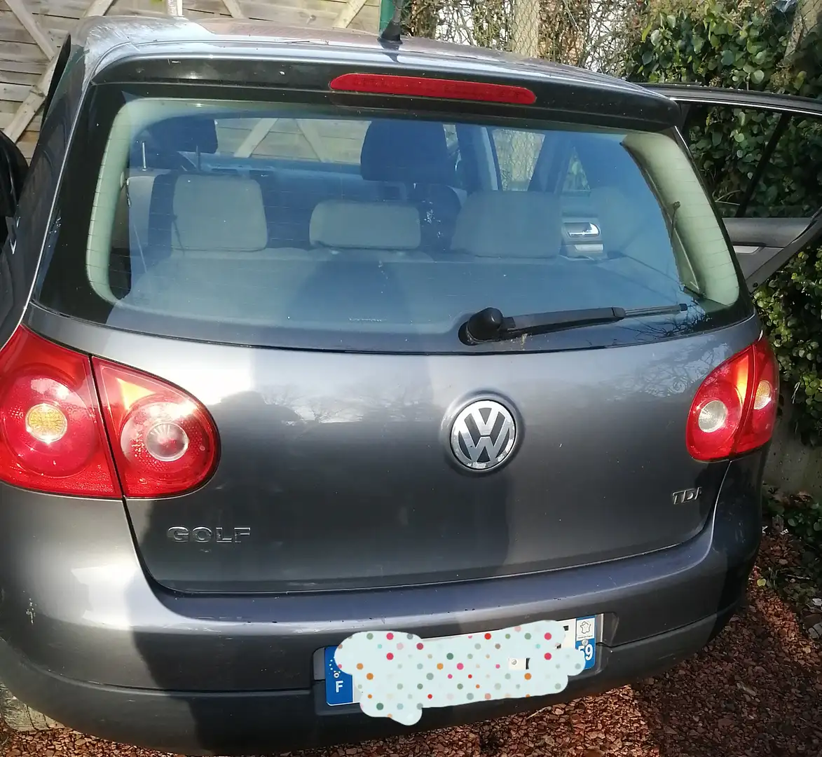 Volkswagen Golf Golf 1.9 TDI Confort 4Motion Gris - 1