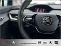 Skoda Sonstige Enyaq iV 50 AZN-Haus-Förderung* NAVI Kamera LED Blau - thumbnail 18