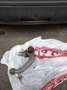 Volkswagen Golf Plus Golf Plus Sportline 1,9 TDI Sportline Schwarz - thumbnail 7