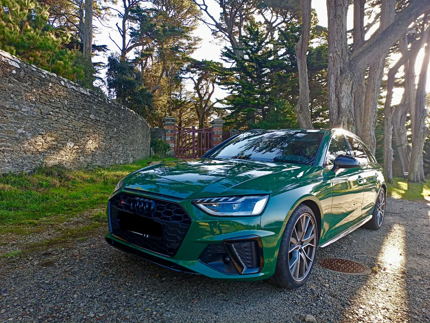 Audi S4 S4 Avant TDI tiptronic Grün - 1