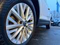 Volkswagen T-Roc 1.5 l TSI DSG AHK Grau - thumbnail 3