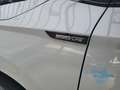 Skoda Karoq 1.5 TSi Sportline Matrix AHK Ladeboden Weiß - thumbnail 14