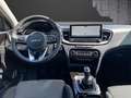 Kia Ceed / cee'd 1.5T 140 SPIRIT TECH-PAKET Klima Navi Grau - thumbnail 15