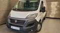 Fiat Ducato Fg. 33 2.3Mjt L2 H2 120CV Blanco - thumbnail 3