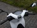Honda SH 125 i Topcase B196 Führerschein Blanco - thumbnail 2
