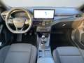 Ford Focus V 2022 - Focus 1.0t ecoboost h ST-Line X 125cv Blau - thumbnail 12